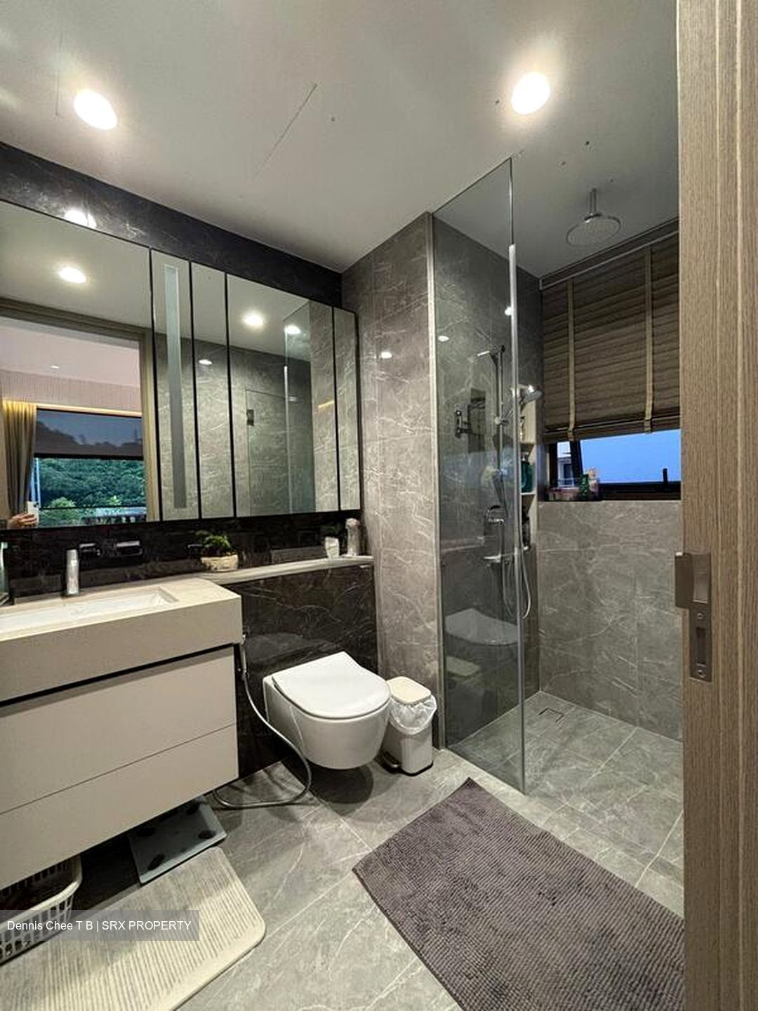 Dairy Farm Residences (D23), Apartment #496384041